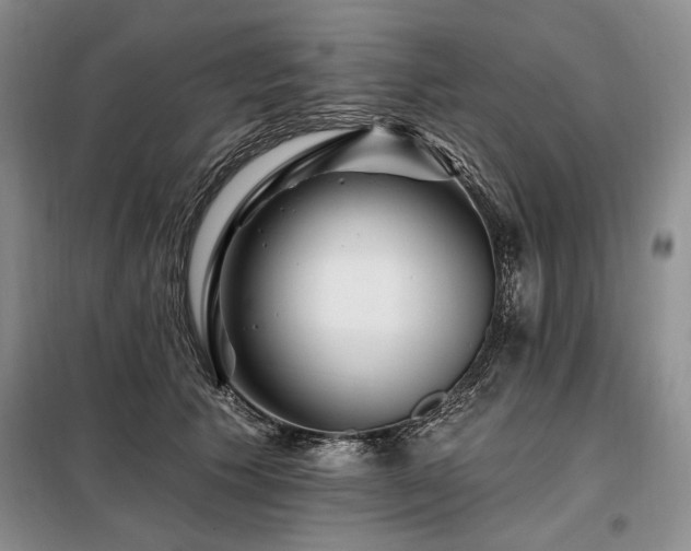 X0000098130609200804171523
