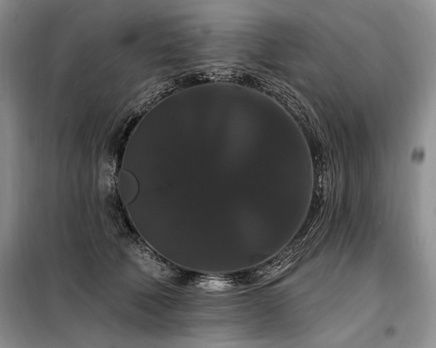 X0000098130610200804171523