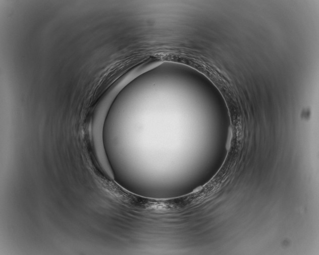 X0000098130611200804171523