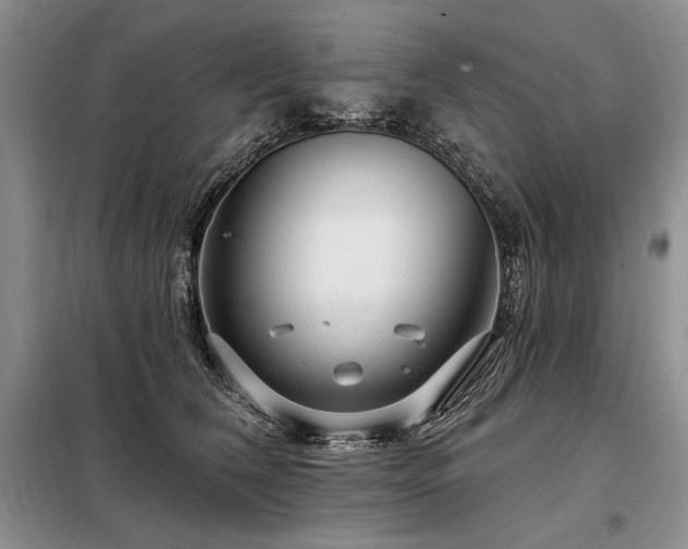 X0000098130612200804171523