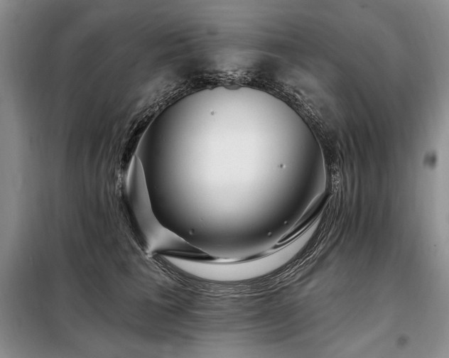 X0000098130613200804171523