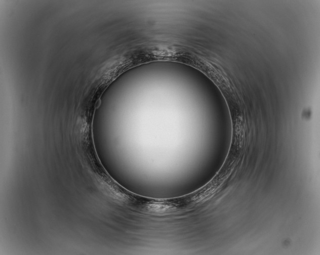 X0000098130614200804171523