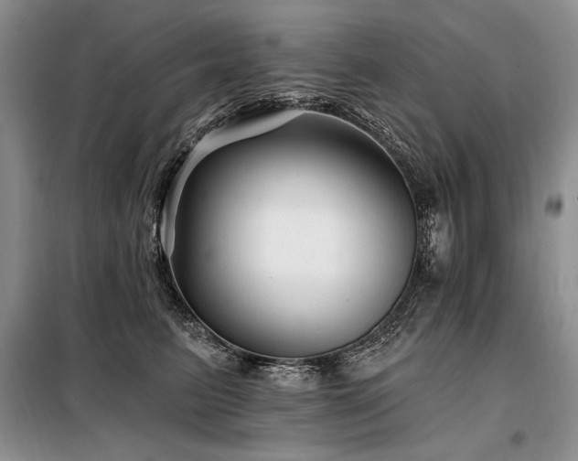 X0000098130615200804171523