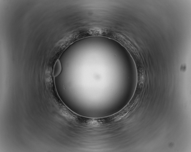 X0000098130616200804171523