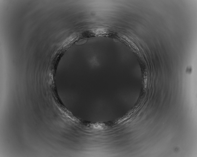 X0000098130618200804171523