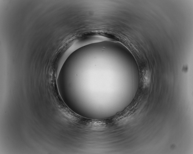 X0000098130619200804171523