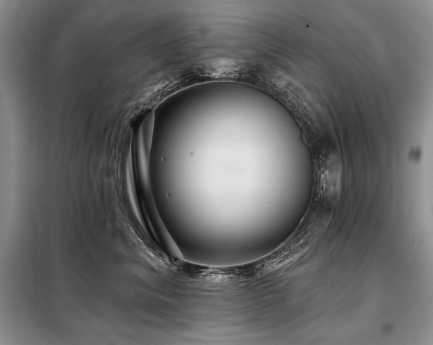 X0000098130620200804171523