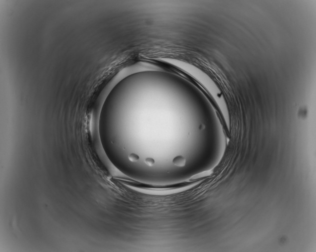 X0000098130621200804171523