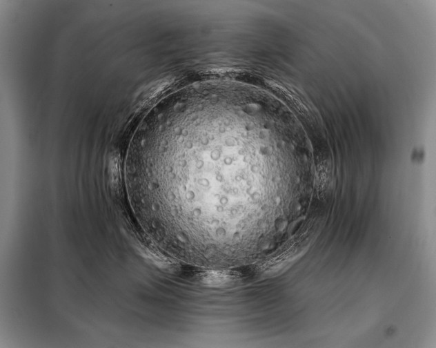 X0000098130623200804171523