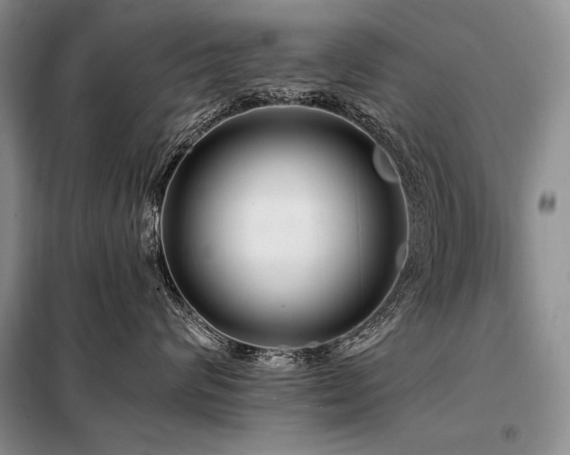 X0000098130624200804171523