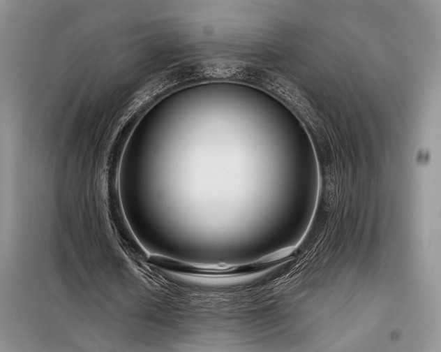 X0000098130626200804171522