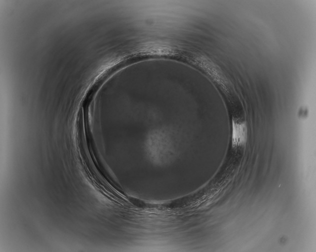 X0000098130627200804171522