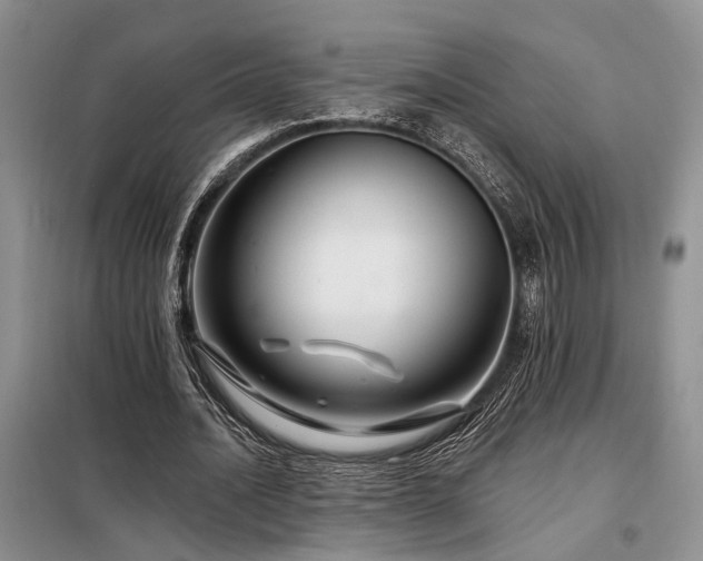 X0000098130628200804171522