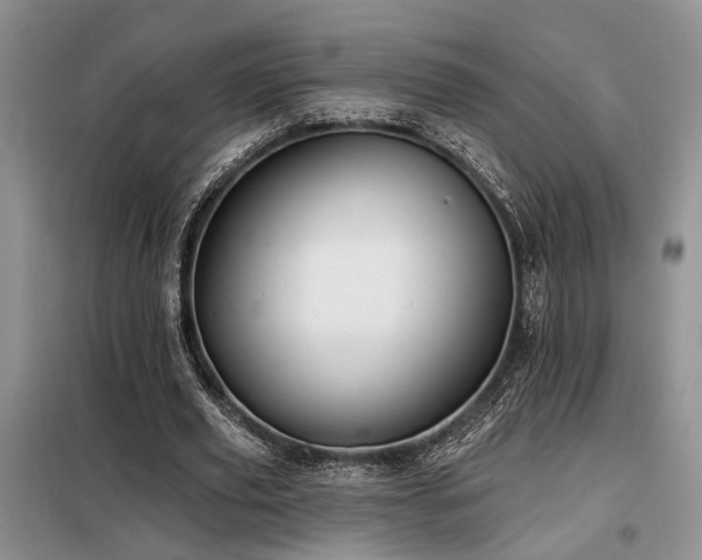 X0000098130629200804171522