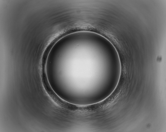 X0000098130630200804171522