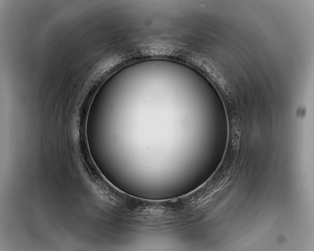 X0000098130631200804171522