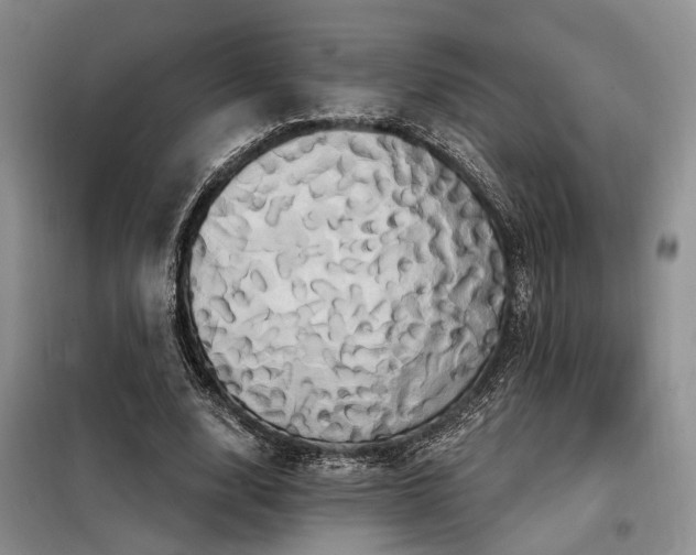 X0000098130632200804171522