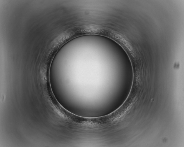X0000098130633200804171522