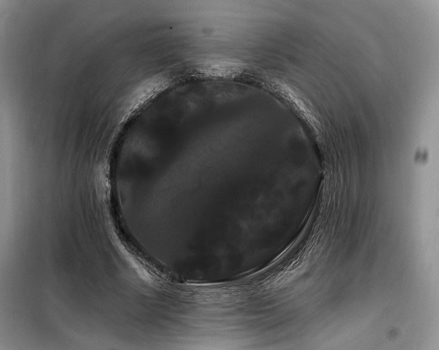 X0000098130634200804171522