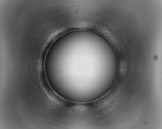 X0000098130636200804171522
