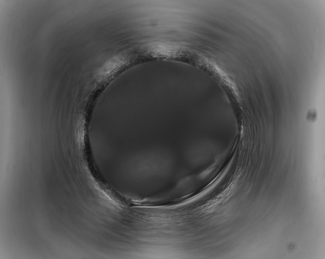 X0000098130637200804171522