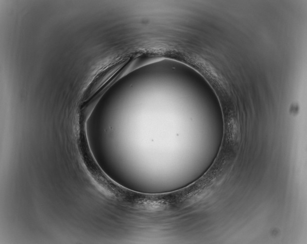 X0000098130638200804171522