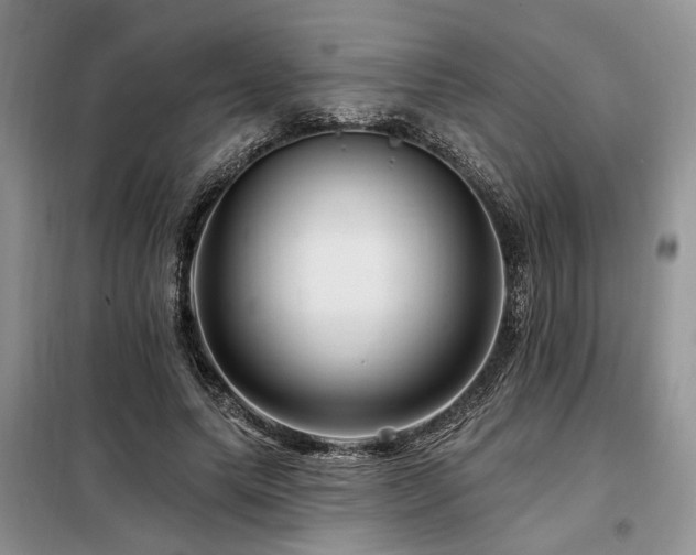 X0000098130639200804171522