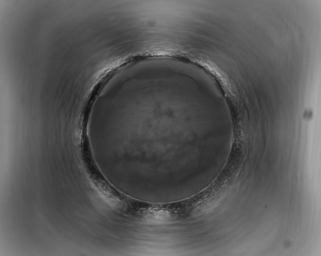 X0000098130640200804171522