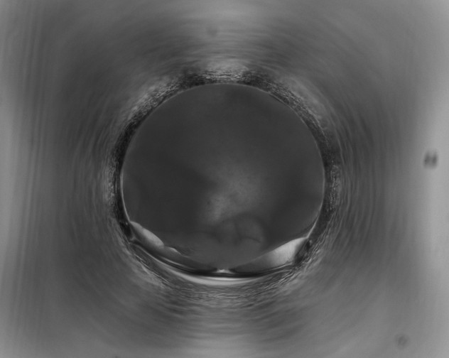 X0000098130641200804171522