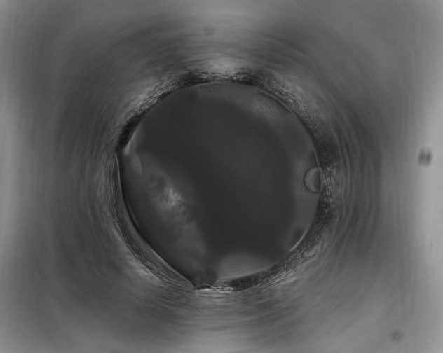 X0000098130642200804171522