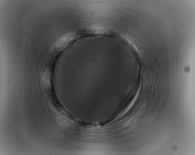 X0000098130643200804171522