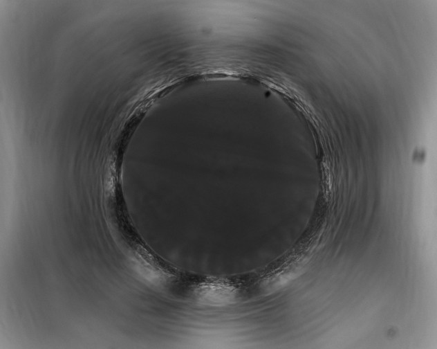 X0000098130644200804171522
