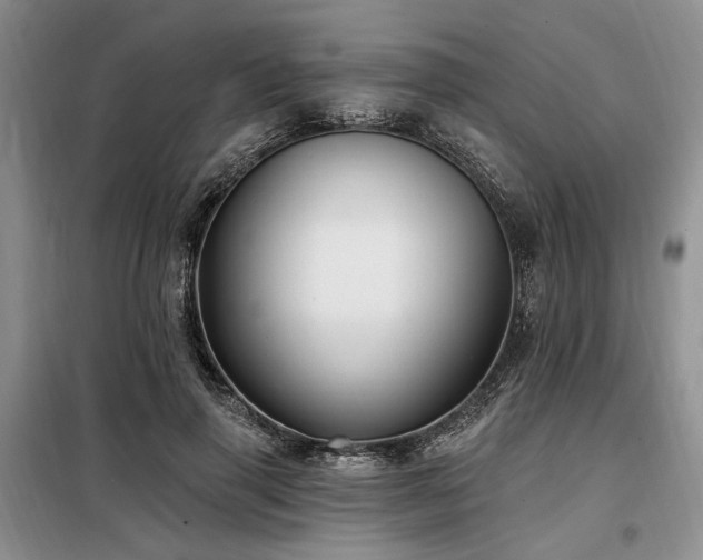 X0000098130645200804171522