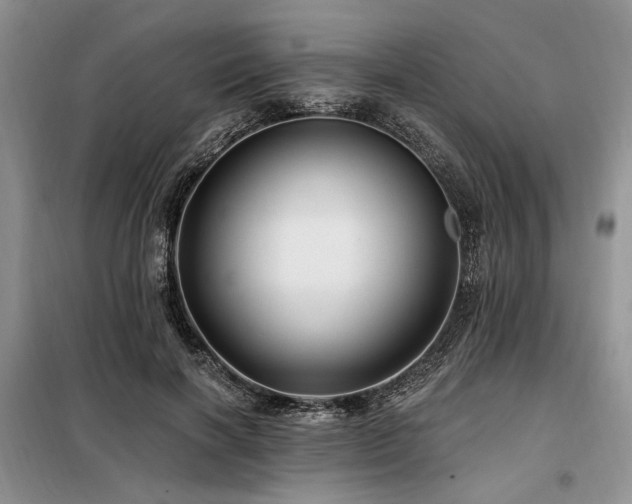 X0000098130646200804171522