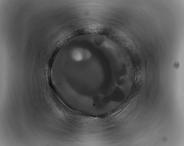 X0000098130647200804171522