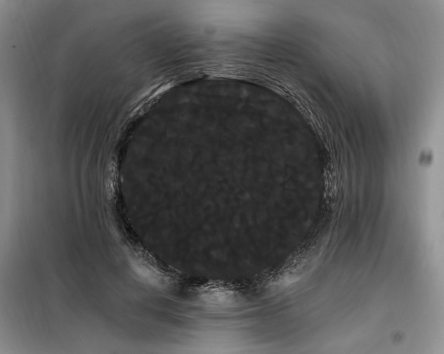 X0000098130648200804171522