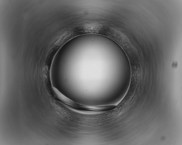 X0000098130649200804171522