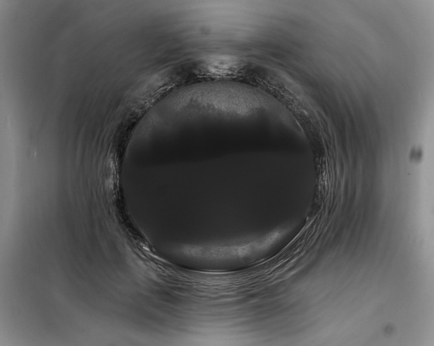 X0000098130651200804171522