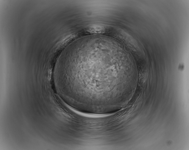 X0000098130652200804171522