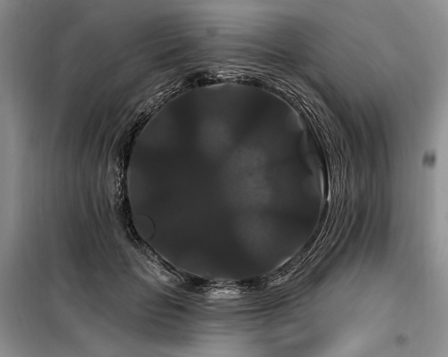 X0000098130653200804171522