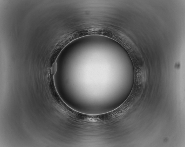 X0000098130654200804171522