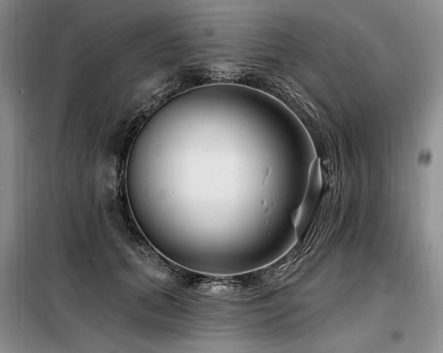 X0000098130655200804171522