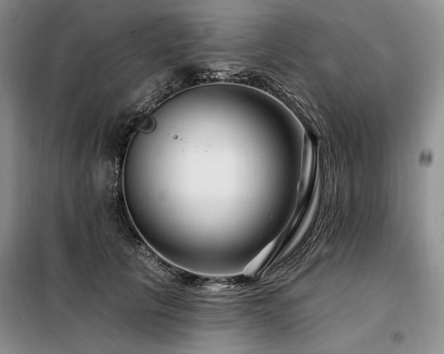 X0000098130657200804171522