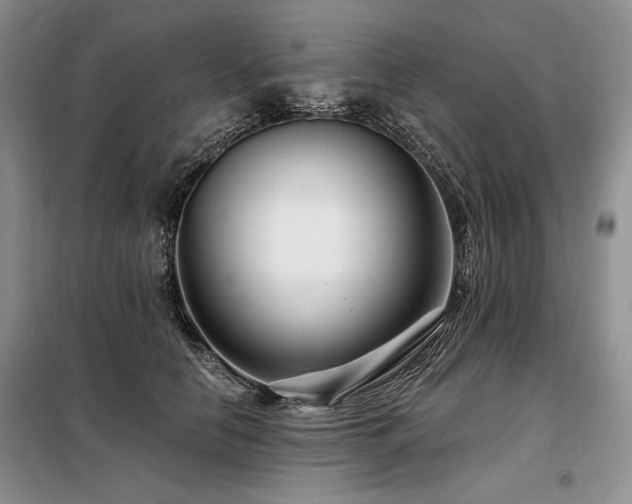 X0000098130658200804171522