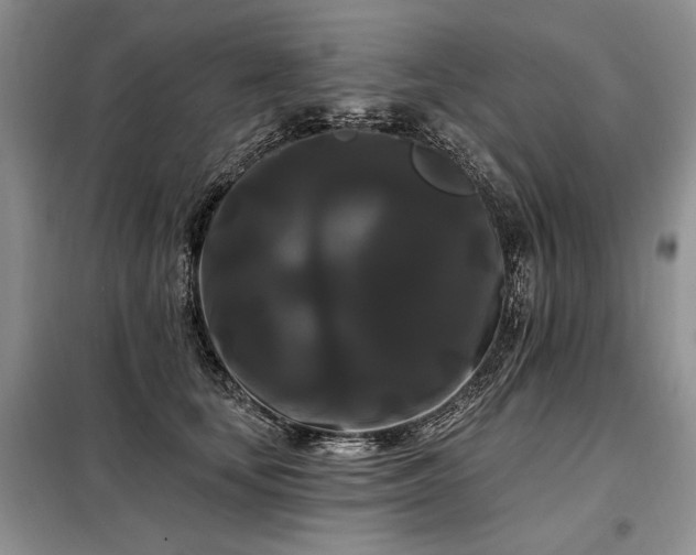 X0000098130659200804171523