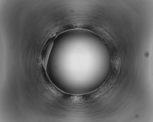 X0000098130660200804171523