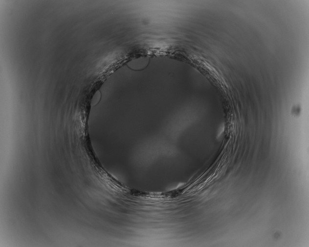 X0000098130661200804171523