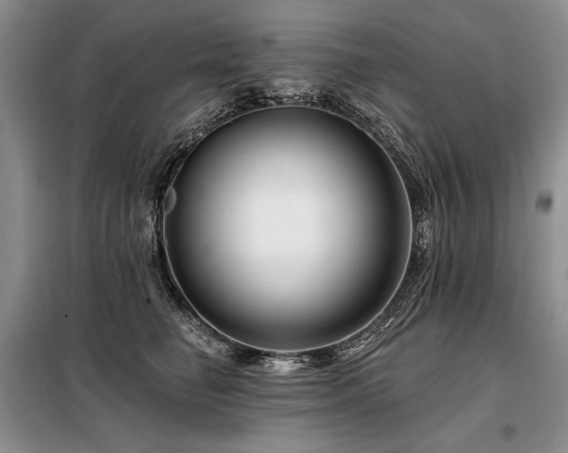 X0000098130662200804171523