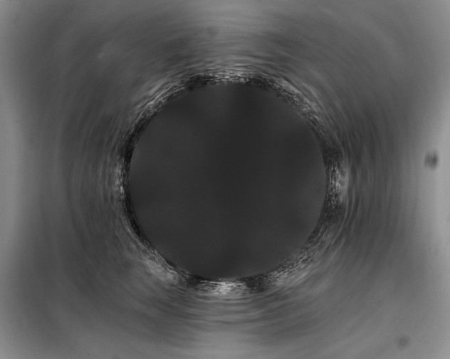 X0000098130663200804171523
