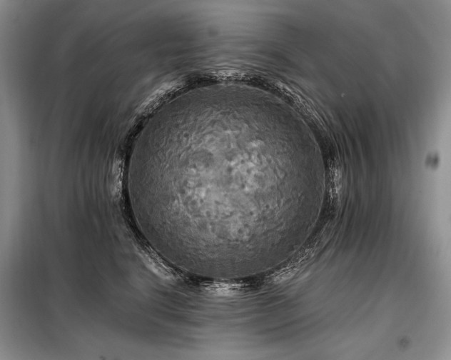 X0000098130664200804171523